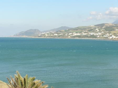 omarito-0101@hotmail.com
